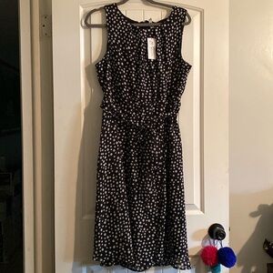 NWT NY COLLECTION POLKA DOT DRESS